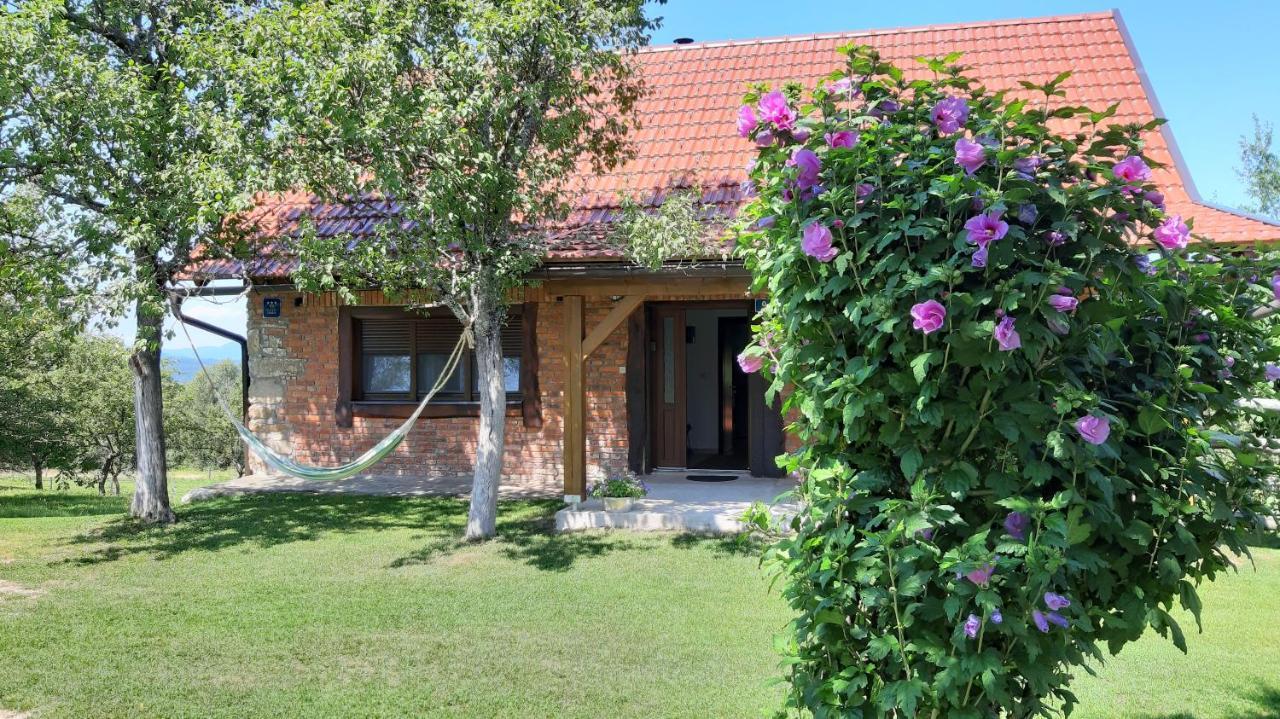 Holiday Home "Sleme" With Jacuzzi, Big Garden And Arbor With Fireplace Skrad Εξωτερικό φωτογραφία